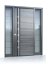 Aluminium front door 501